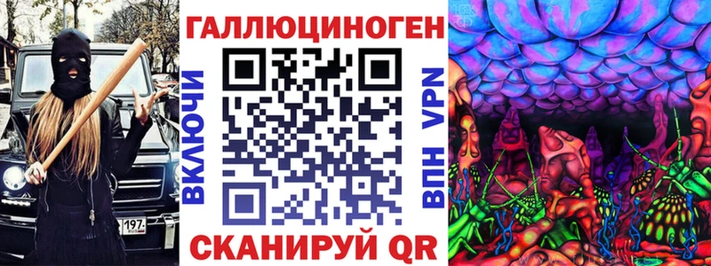 маркетплейс формула  как найти   Нерюнгри  Псилоцибиновые грибы Psilocybe 